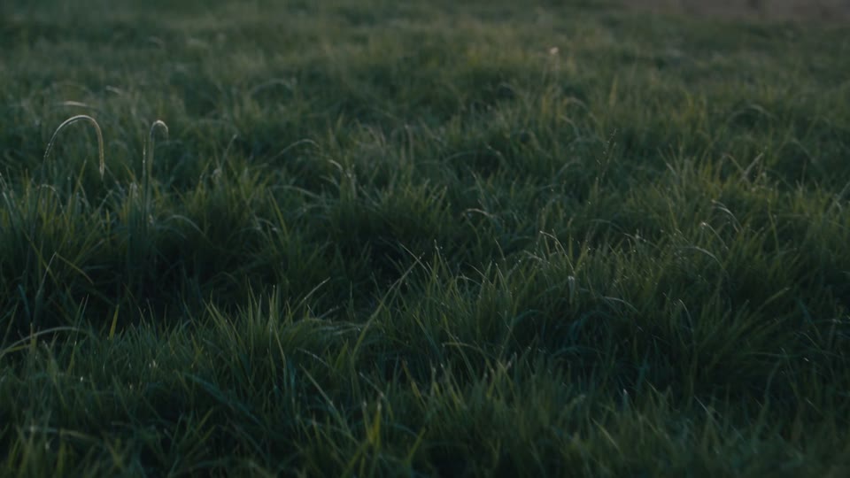 A cinematic heartland sequence with a truck, fields and evening light